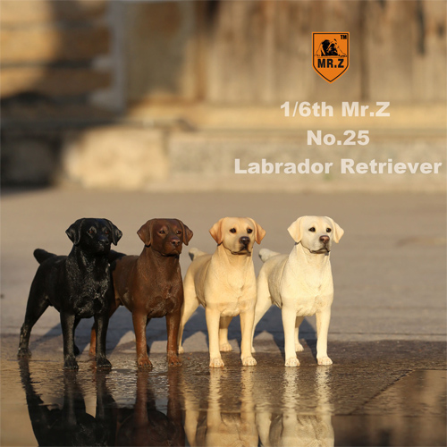 1:6 Labrador Retriever